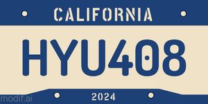 Framed License Plate Design