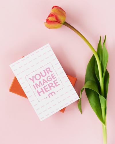 Greeting Card with Tulip on Pink Background Mockup