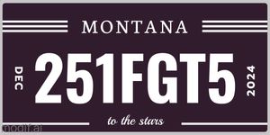 License Plate Template with Black Background