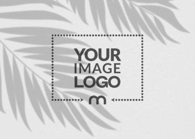 Logo Mockup on a White Wall with Tree Shadow