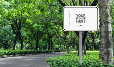 Rectangular Street Sign Mockup on a Road Surrounded by Trees